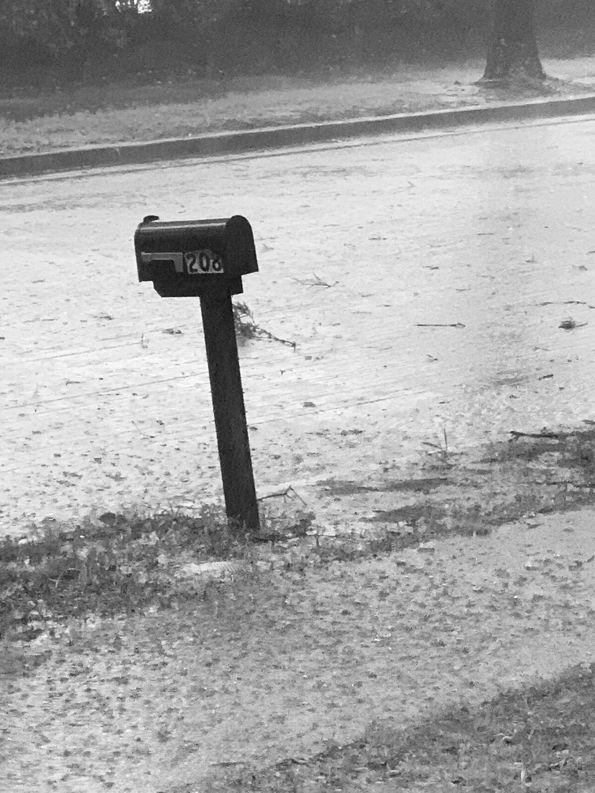 Mailbox Pic of the Day — 2026-03-05