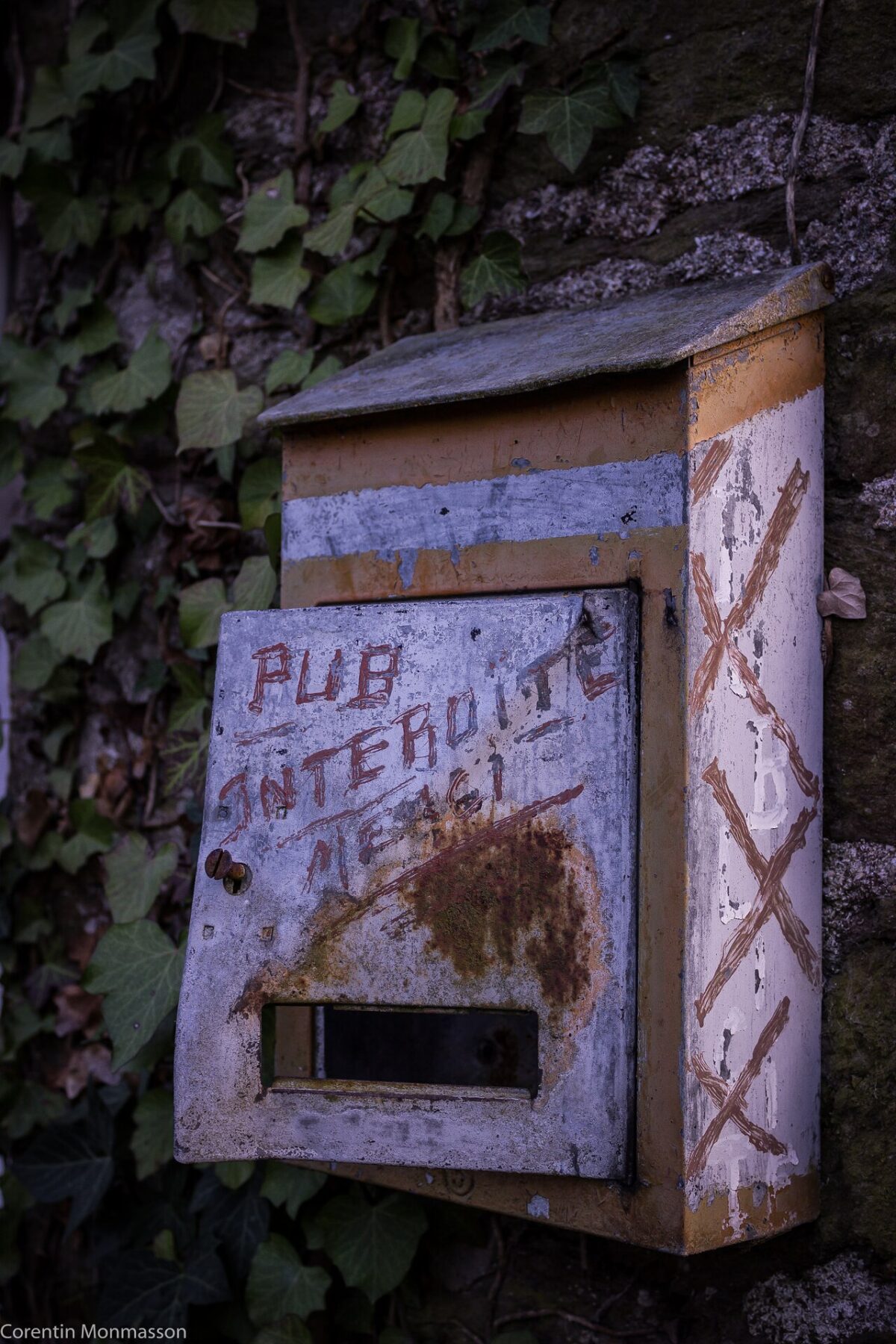 Mailbox Pic of the Day — 2026-08-07